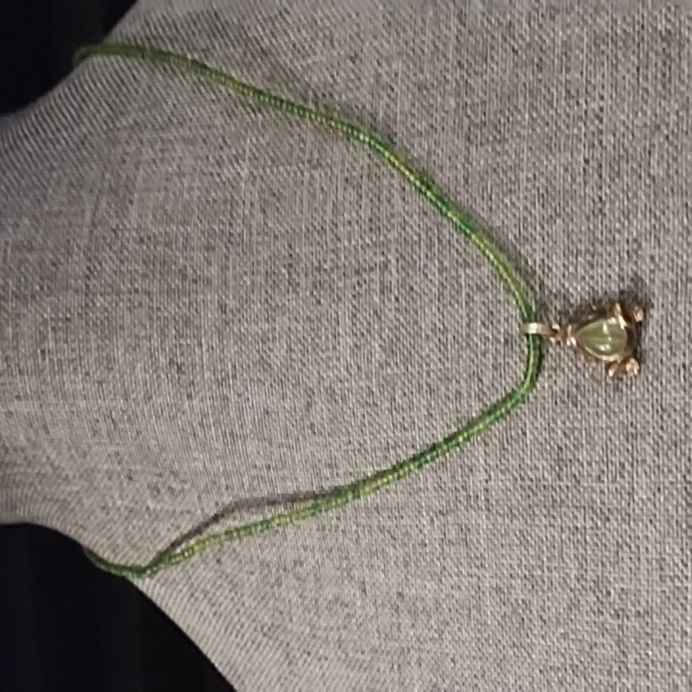 NWOT frog 🐸 choker